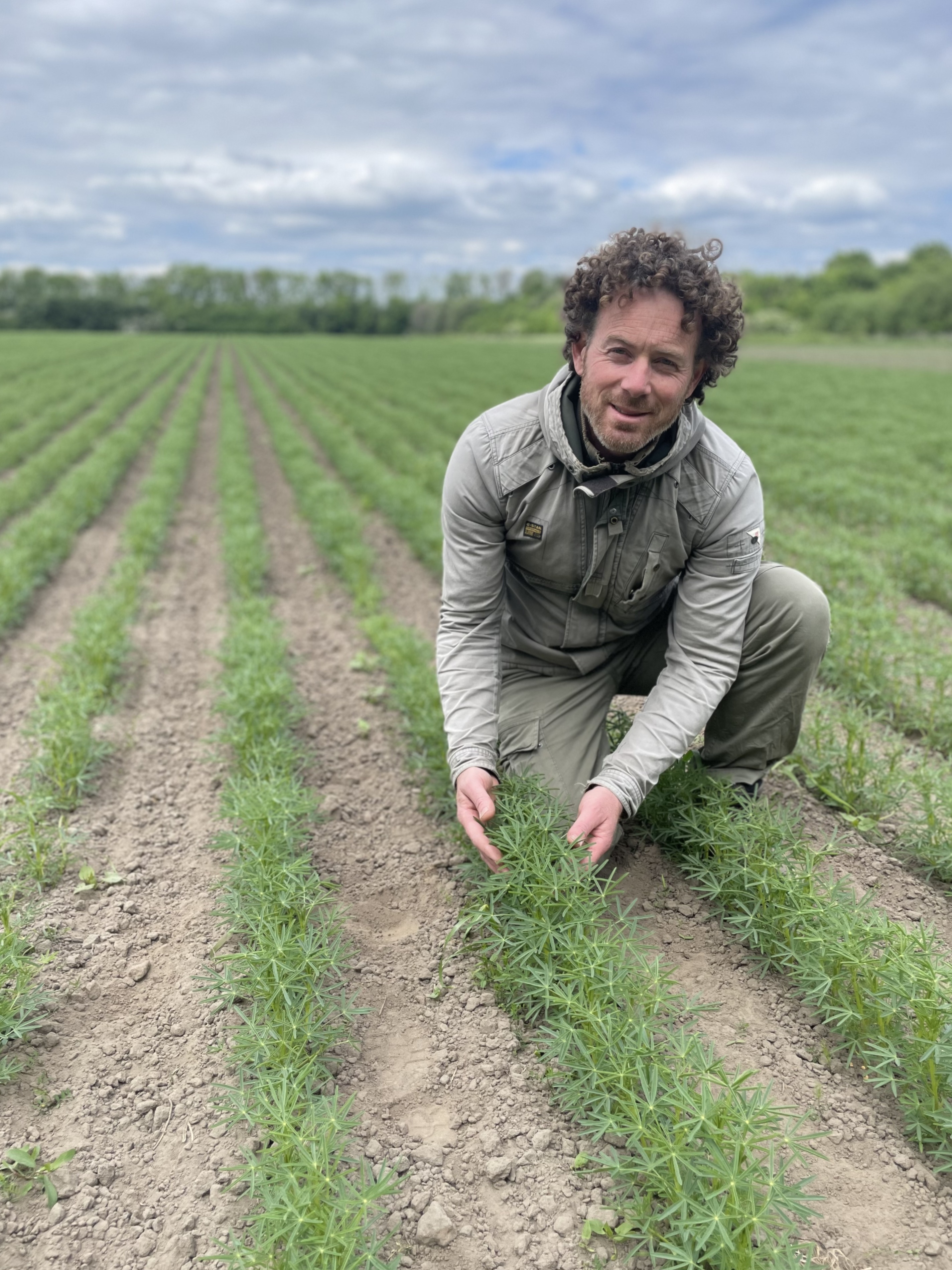 Bram in het lupineveld op landgoed Tongelaar.